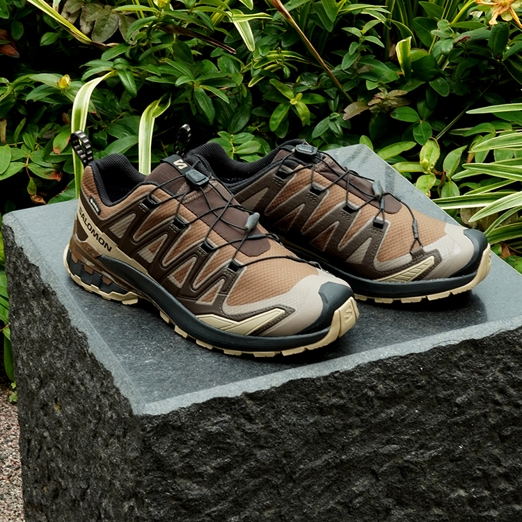 SALOMON �T������ XA PRO 3D V9 GORE-TEX �G�b�N�X�G�[ �v�� 3D V9 �S�A�e�b�N�X L47881800 �_�[�N�A�[�X/�f�U�[�g�^��