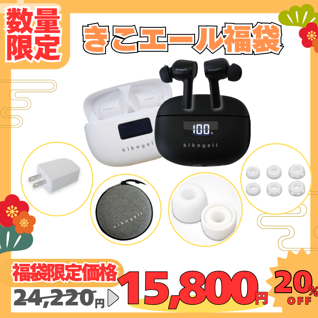 専用ポーチプレゼント中♪】集音器 高齢者 充電式 公式 イヤホン