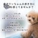 【★累計販売枚数5万枚突破!!ランキング1位獲得★】犬 滑り止め シール 5セット20枚入り フローリング すべり止め シール いぬ用 関連画像5