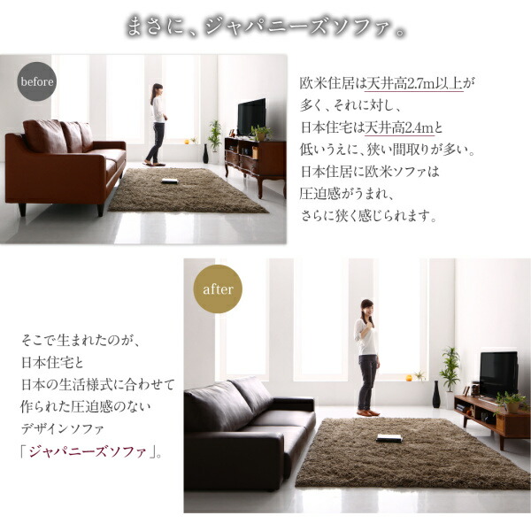 2.5人掛けソファ ワイド肘置き ロータイプ フロアソファ ソファ ワイド肘 ロータイプ 2.5P : ネクストステージ