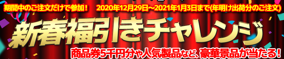 デジタル アンプ 日本 製