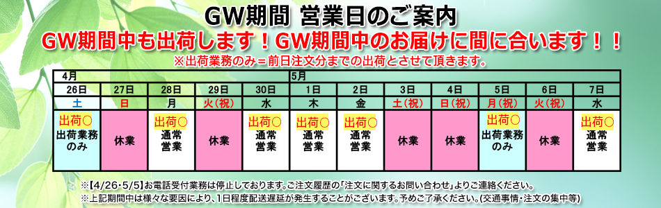 holiday_2021GW
