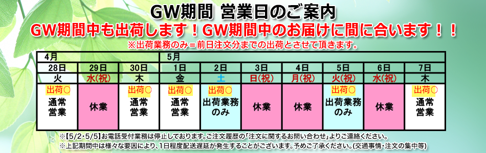 holiday_2021GW