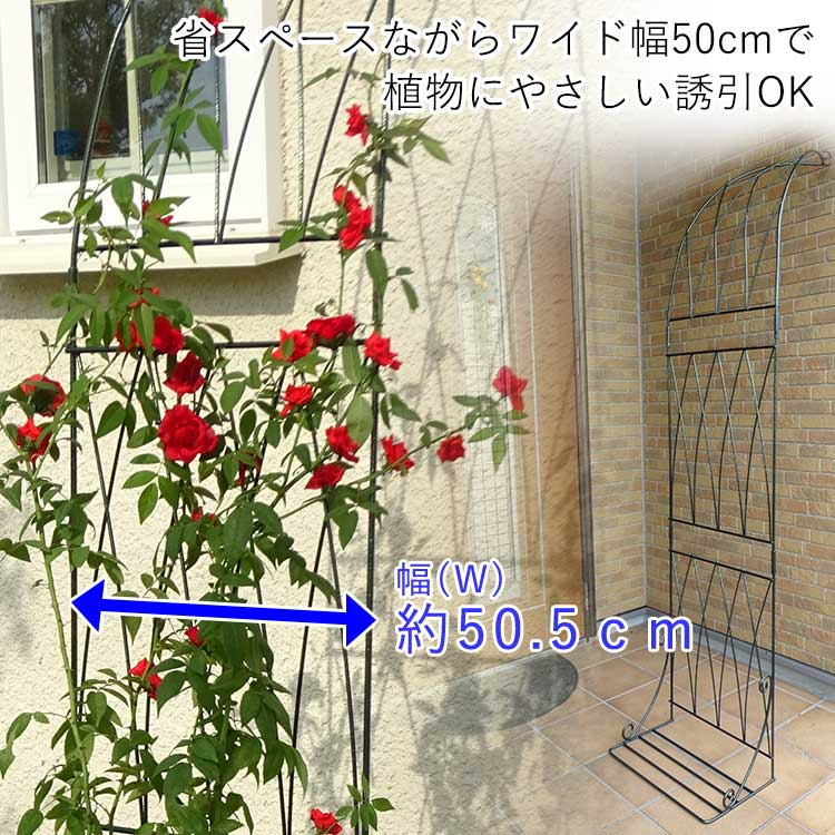 ガーデンアーチ アイアン おしゃれ ローズ ハーフ DIY ガーデニング 園芸 壁掛け 庭園 誘引 つるバラ グリーンカーテン 日よけ 日本製 関連画像2