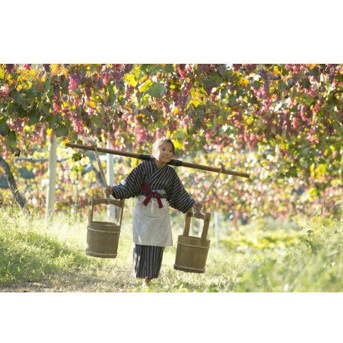 連続テレビ小説 花子とアン 完全版 DVD-BOX1 全4枚 : NHKスクエア
