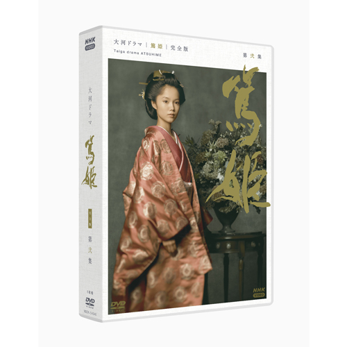 大河ドラマ 江 姫たちの戦国 総集編 DVD-BOX 全2枚 NHKスクエア限定盤