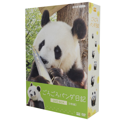 阪神淡路大震災 dvdのおすすめ人気商品一覧 通販 - Yahoo!ショッピング