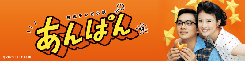 カーネーション DVD-BOX 完全版 NHKスクエア限定商品 全セット 連続テレビ小説 カーネーション 完全版 DVD-BOX1 全4枚｜国内