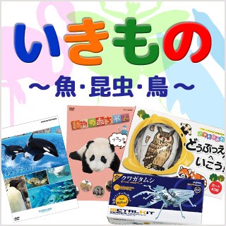 Nhkスクエア キャラクター館