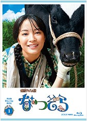 NHK 連続テレビ小説/なつぞら【DVD】全13巻 セット 連続テレビ小説 なつぞら