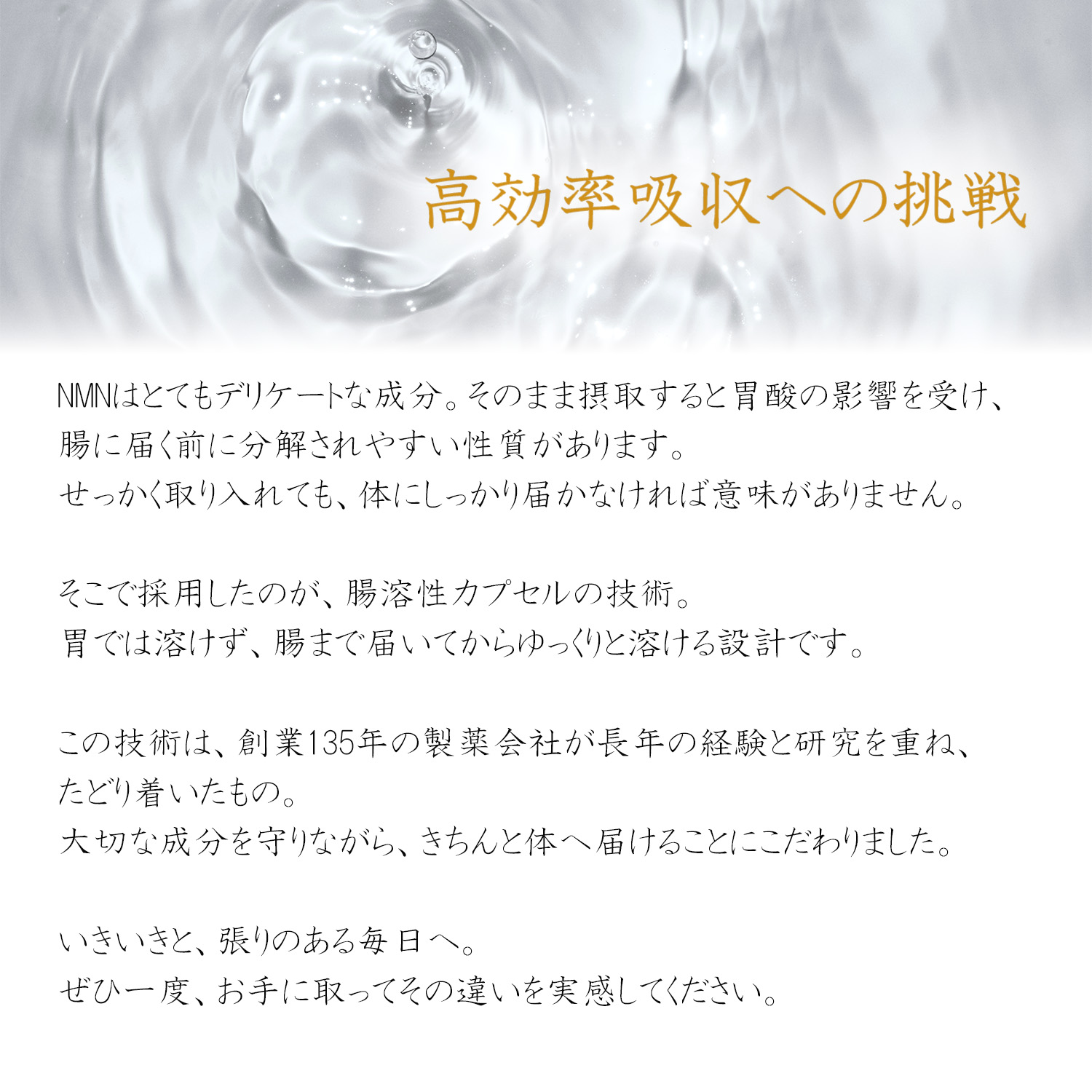 NMN 腸溶性サプリ 説明2