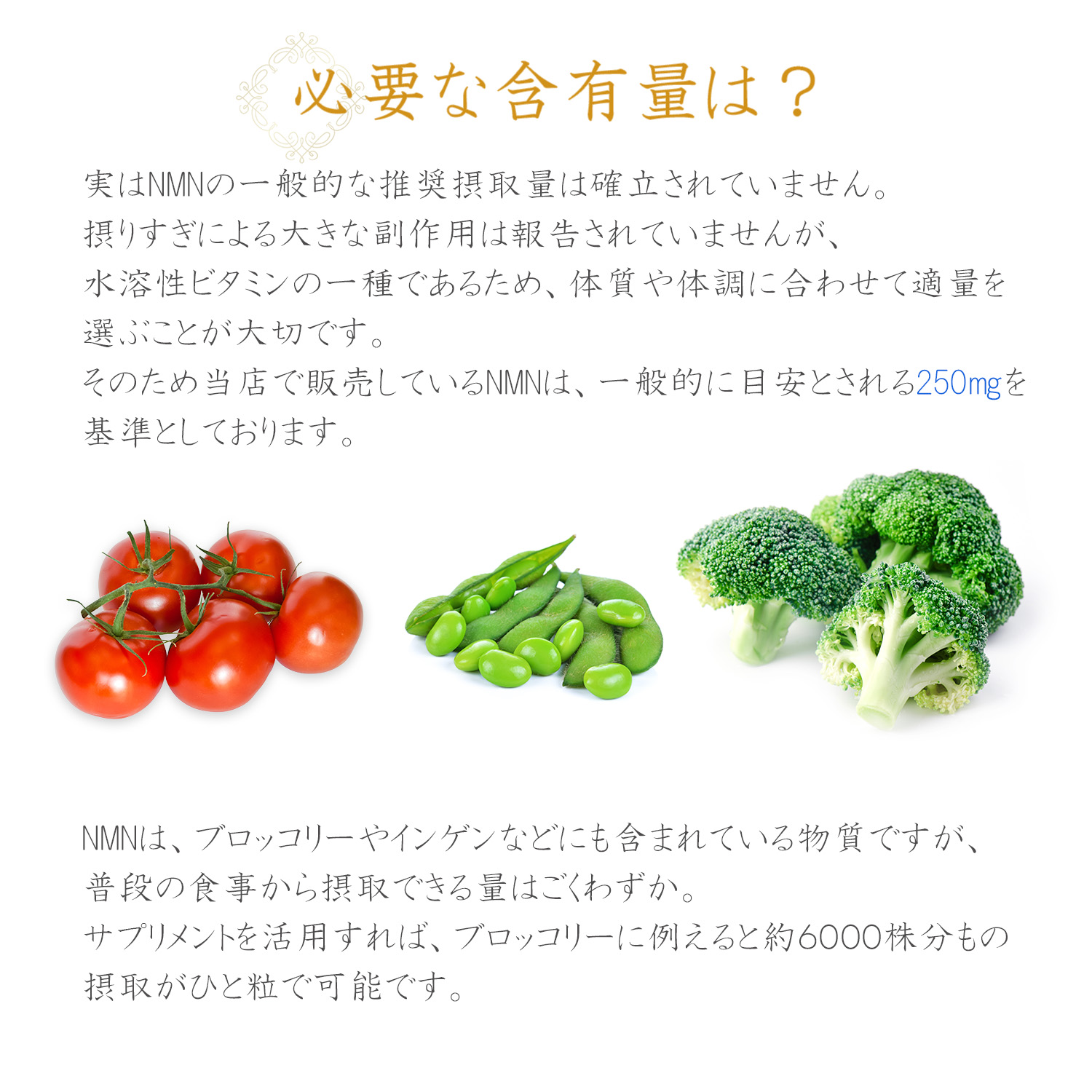NMN 腸溶性サプリ 説明4