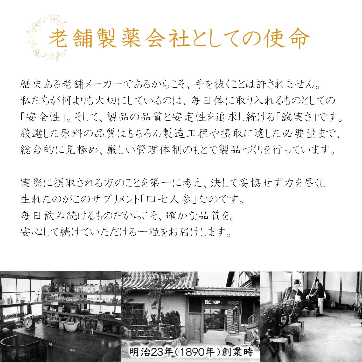 田七人参 サプリメント