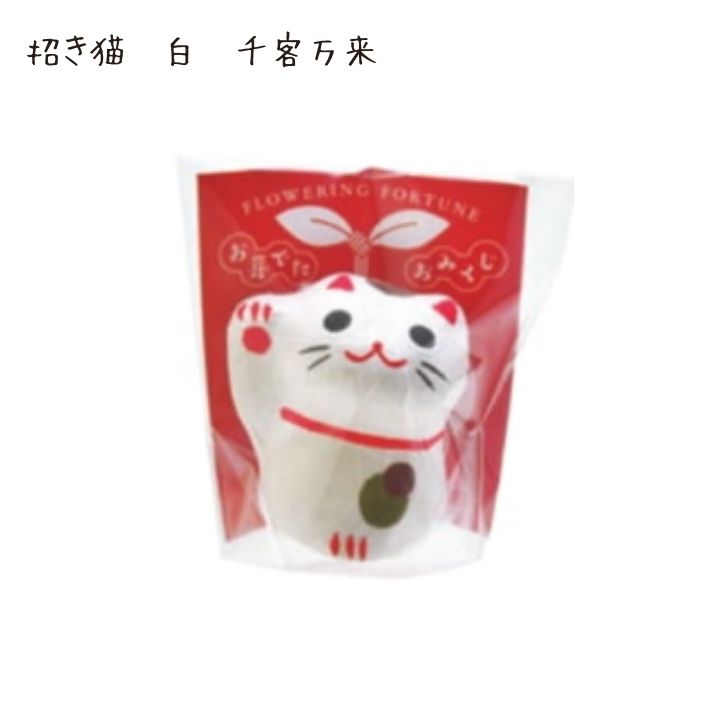 数量限定 おめでたおみくじ 縁起物 招き猫 ギフト プレゼント