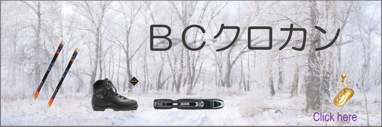 22デザイン アウトローX（OUTLAW X)テレマークビンディング : nice