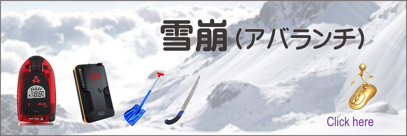 スキーシール G3 ジースリー スキーシール 24-25 アルピニスト エレメント