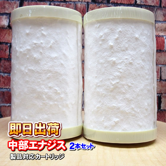 「2本セット」日本製ノンブランド品 ベリーワン 男女美等対応 中部エナジス製品に使用可能な互換性のある交換用浄水カートリッジ 併売 :energys 2hon01 751 :激震クリック堂 ヤフー店