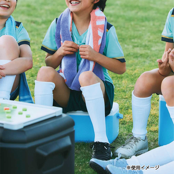 Coleman（コールマン） テイク6 アウトドア キャンプ 保冷 クーラー