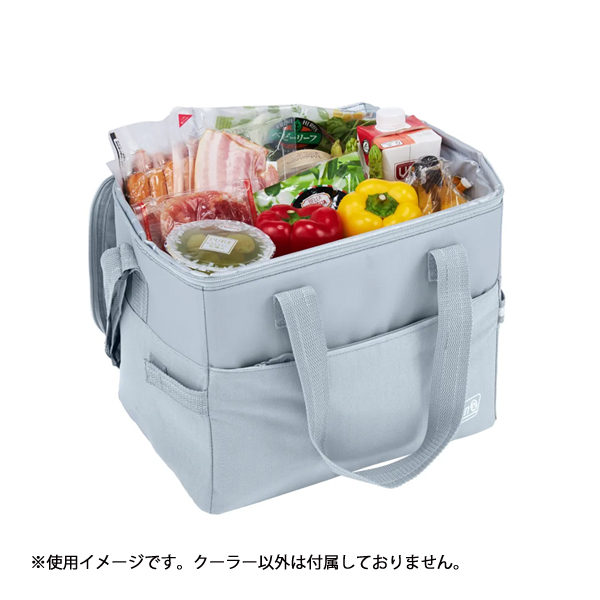 コールマン クーラーバッグ　クーラーボックス Coleman（コールマン） デイリークーラー 20L 1186 クーラーボックス