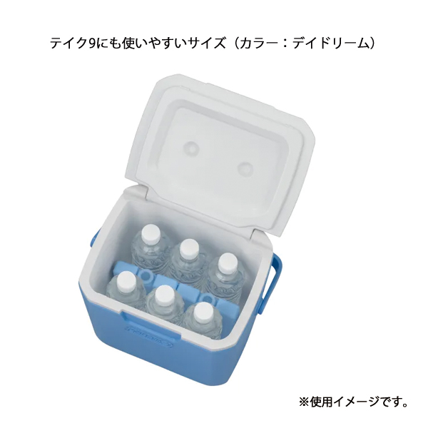 Coleman（コールマン） アイスブリック S 1221 アウトドア キャンプ