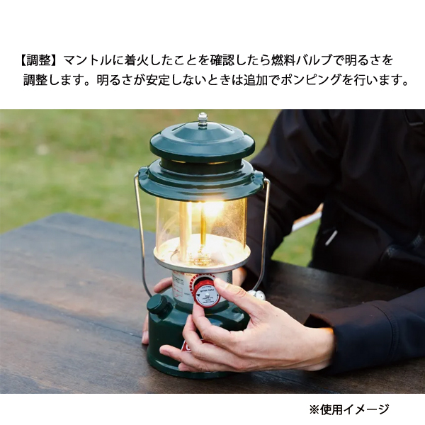 Coleman（コールマン） ワンマントルランタン グリーン 2169494