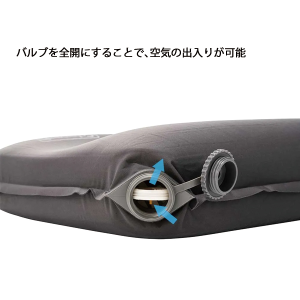 Coleman（コールマン） キャンパーインフレーターピローハイピーク