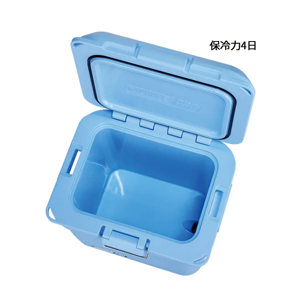 Coleman（コールマン） コールマンプロ25QT デイドリーム 2218854