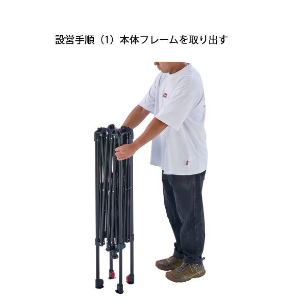 Coleman（コールマン） インスタントバイザーシェード IV/250 DR