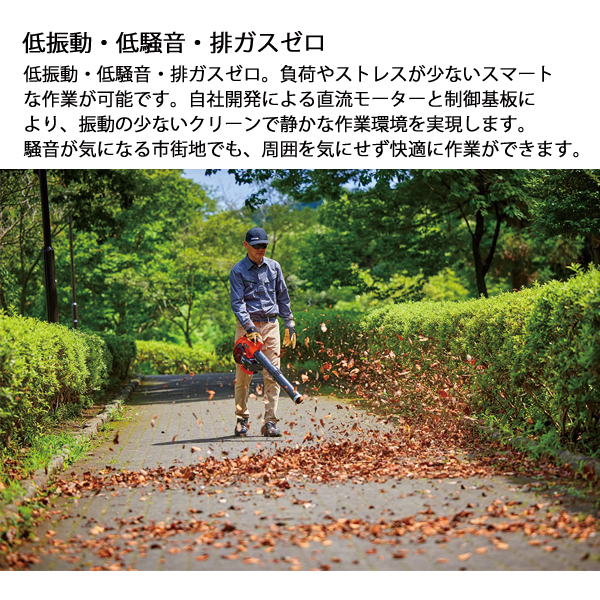 エコー 50V バッテリーブロワ 1Pバッテリー2個セット・充電器付き