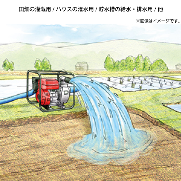 ホンダ（HONDA） ポンプ エンジン式 汎用ポンプ ハードユースモデル