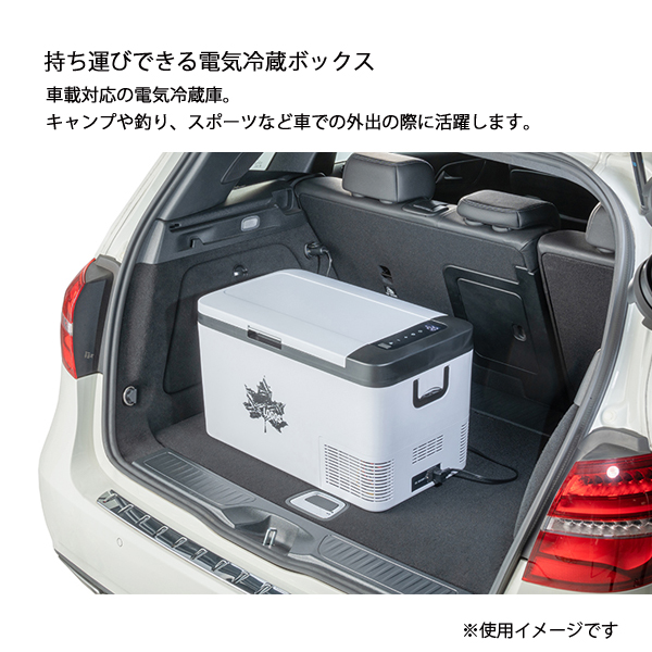 LOGOS ロゴス 氷点下電気冷蔵ボックス(AC・DC) 74175090 LOGOS ロゴス 氷点下電気冷蔵ボックス(AC・DC) 74175090