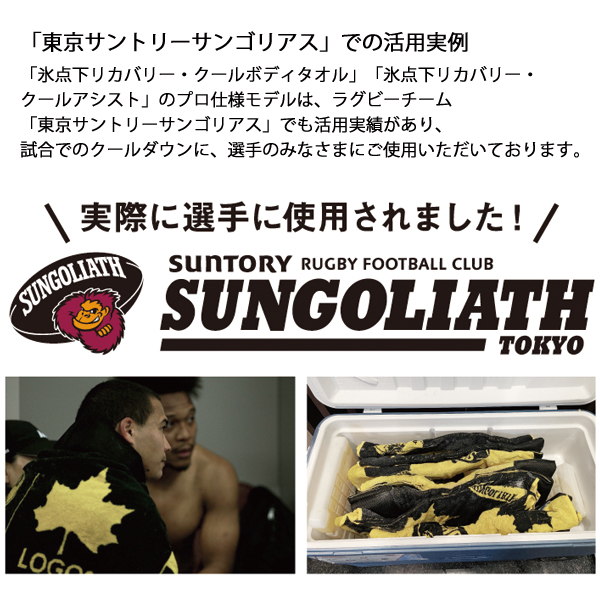 ロゴス  氷点下リカバリー・クールボディタオル 81336811 アウトドア キャンプ グレー キャンプ用品 | LOGOS | 02