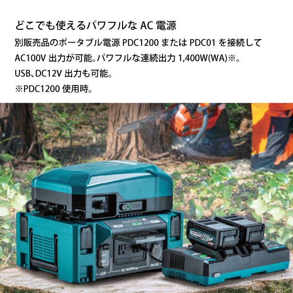 マキタ（makita） DCACインバータ 本体のみ BAC01 | マキタ | 02