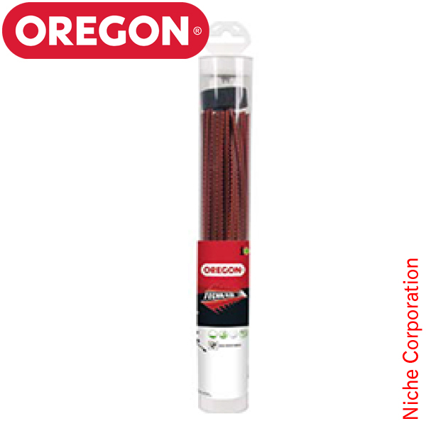 KIORITZ 共立 背負動力散布機 DME305G-13 噴霧器 エンジン式 散布