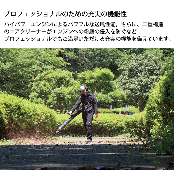 エドイワナ 新ダイワ エンジンブロワ 背負タイプ EB3079 エンジンブロワー