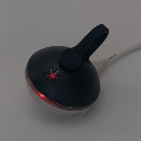 スノーピーク  RBたねほおずき ES-141 アウトドア キャンプ ランタン バッテリーランタン バッテリー式 充電式 USB-C 小型 ランタン ランプ LED | snow peak | 11