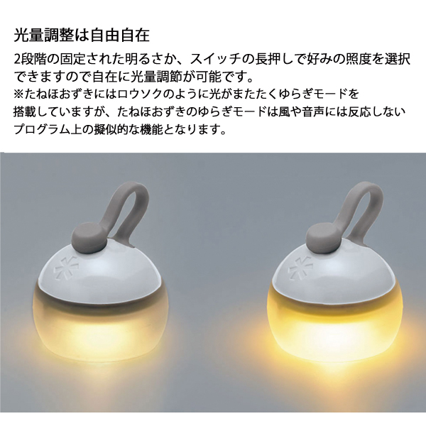 スノーピーク  ほおずきセットもり FK-363 アウトドア キャンプ ランタン 野遊びセット LED LEDライト 電池式 | snow peak | 17