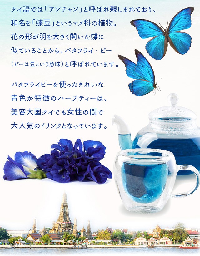 NICHIGA バタフライピー 200g Butterfly Pea 青いお茶 ノン