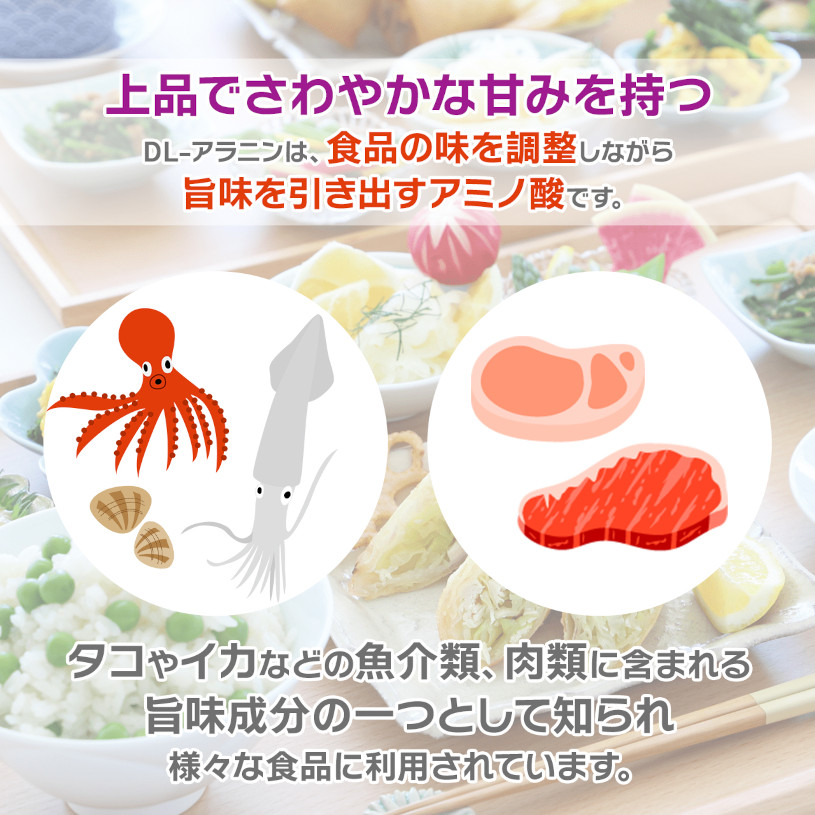 NICHIGA（ニチガ） DL-アラニン（国内製造）250g食品添加物 DL