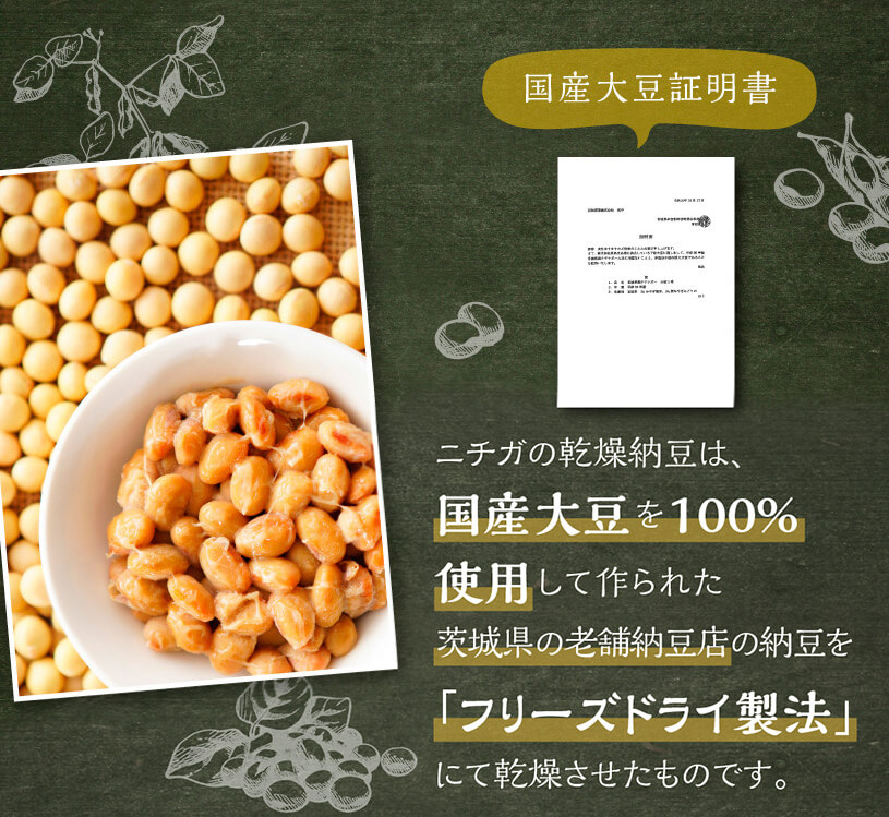 乾燥納豆（粒） 110ｇ 国産大豆100％使用 Grain [01] NICHIGA(ニチガ)1,048円 natto 生きている納豆菌93億個 納豆  | litya.ec