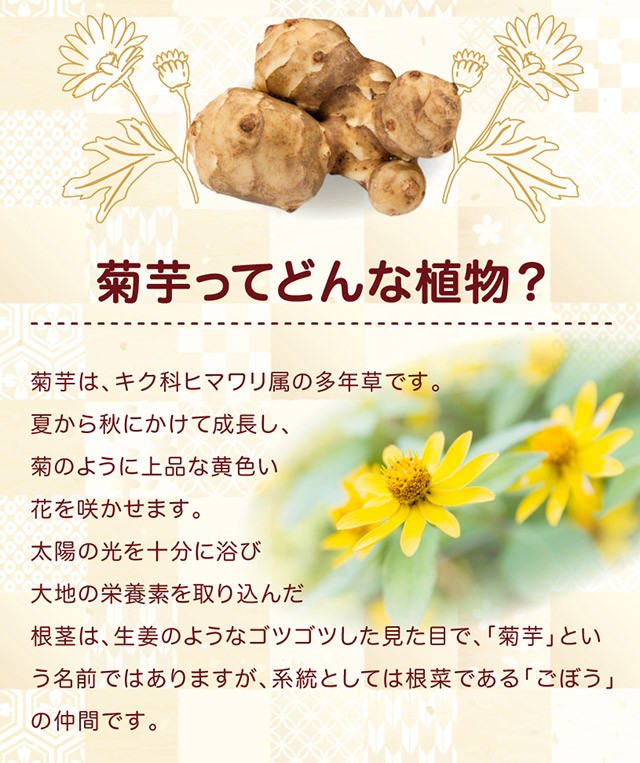 菊芋チップス 250g 1袋 岡山県真庭産 イヌリン きくいも