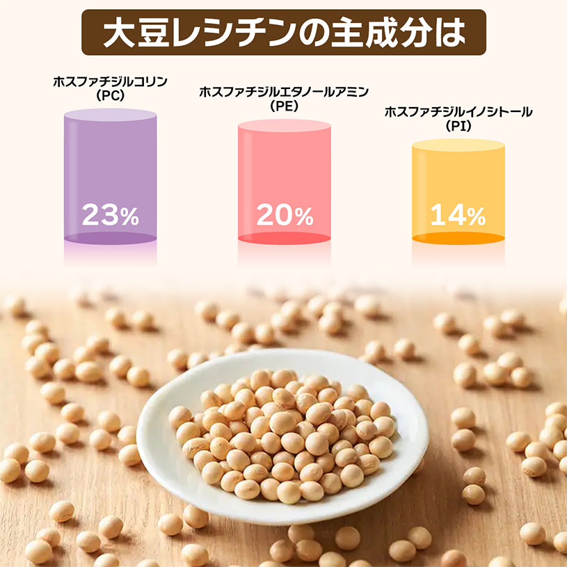 大豆レシチン 顆粒状 Soy Lecithin 350ｇ 【メール便専用品】【送料無料】 フォスファチジルコリン リン脂質 植物性レシチン 大豆由来  [05] NICHIGA(ニチガ) : 2020030404 : NICHIGA(ニチガ)Yahoo!店 - 通販 - Yahoo!ショッピング