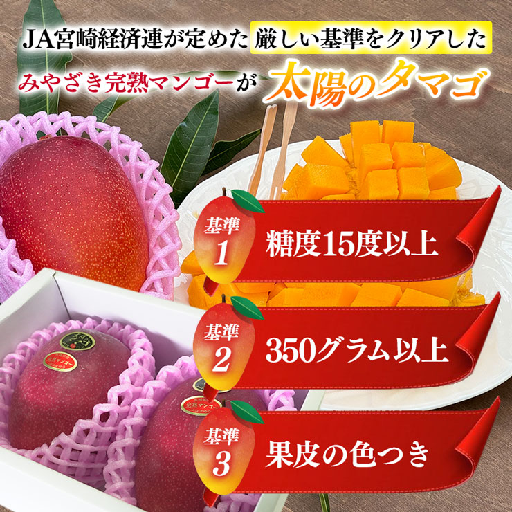 太陽のタマゴ 宮崎完熟マンゴー 大玉A3Lサイズ 約450g×2玉