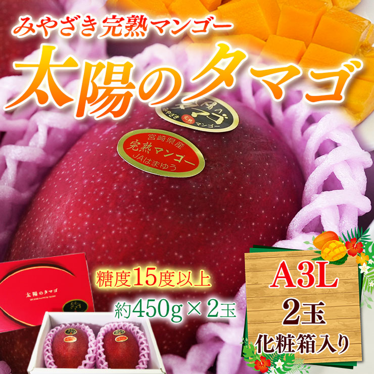 太陽のタマゴ　宮崎完熟マンゴー　大玉A3Lサイズ　約450g×2玉　箱入り　糖度15度以上　JAみやざき　日南市産