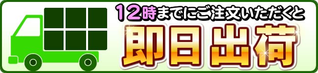 あすつく対応商品