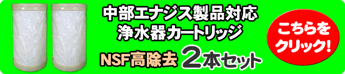 中部エナジスカートリッジ2本セット