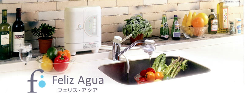 還元水素水生成器 アルカリイオン整水器 フェリス・アクア PC-200（青