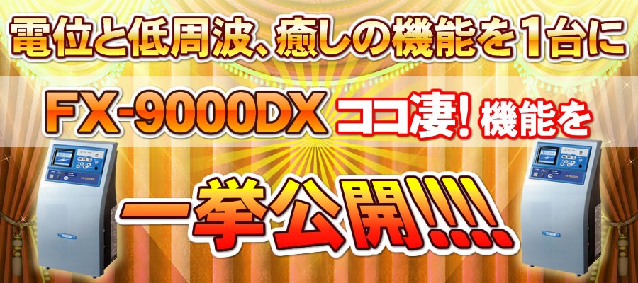 フジ医療器電位治療器FX-9000DX