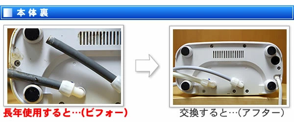 本体裏