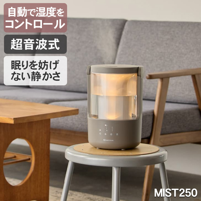RHYTHM お手入れ簡単 大容量 プールレス加湿器 MIST250（ウォーム